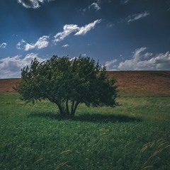 Yunus Dişkaya - Dilekî
