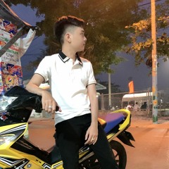 VIETMIX - EM SẼ LÀ NGƯỜI RA ĐI x PL REMIX