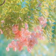 Việt Nam những chuyến đi - Vicky Nhung