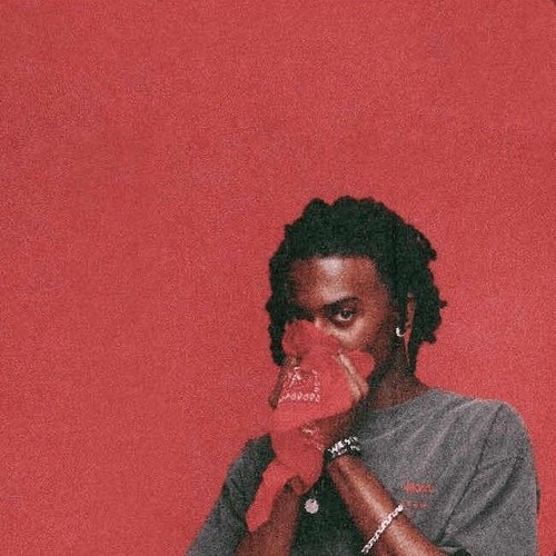 Playboi Carti - Whole Lotta Red (WLR V1)