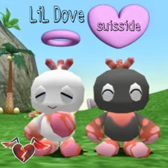 suisside x LiL Dove fuck you baby (sped up)