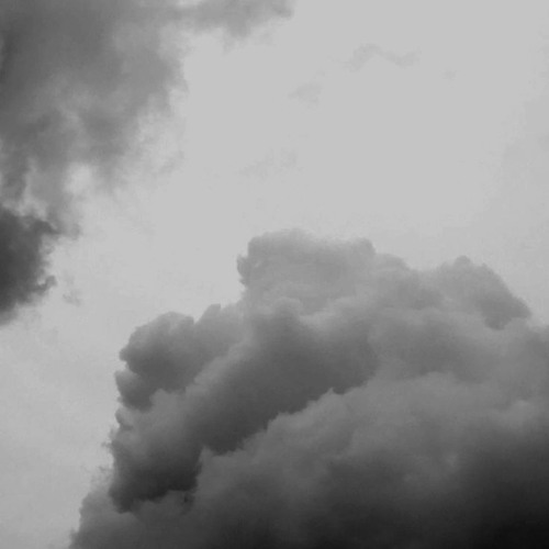 guarded by the storm outside