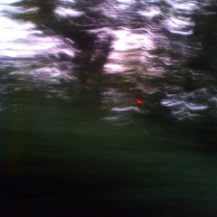 Sunrise Deliriums (Demo)
