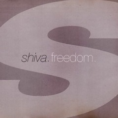 Shiva - Freedom (BT version) - Matt Wynne 6min edit