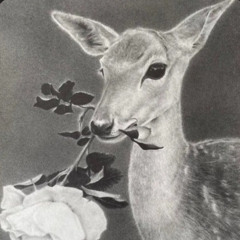 meaningful love - instrumental - Silo