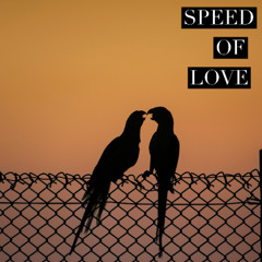 Speed of Love