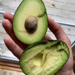 The Raw Avocado - Gracia Macclesh