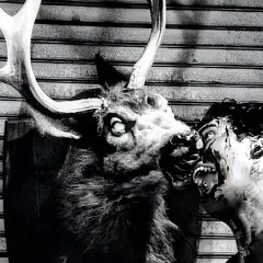 VOCÊ VAI MORRER SOZINHO