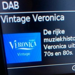 VINTAGE VERONICA
