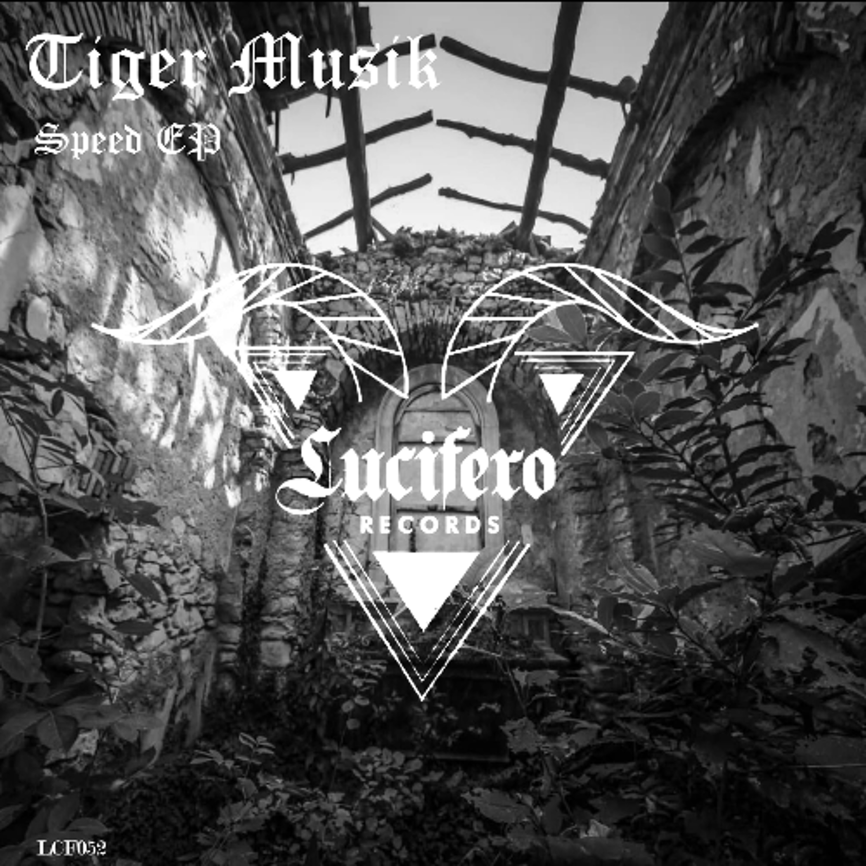 Portada de Tiger Musik