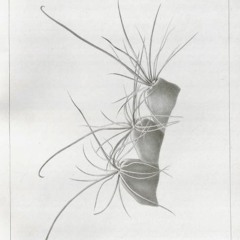 HK_Fantaisies_tracks_186