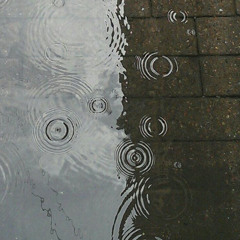 Forget me now //Ver thienan