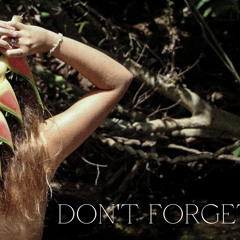 Don't Forget (Hindi Zahra)