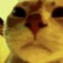ultimate autism playlist