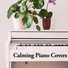 Calming Piano Covers