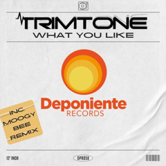 PREMIERE: Trimtone - What You Like (Moogy Bee Mutant Disco Remix) [Deponiente Records]