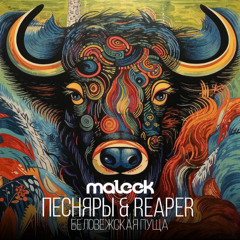 Песняры & REAPER - Беловежская Пуща (maleek blend)
