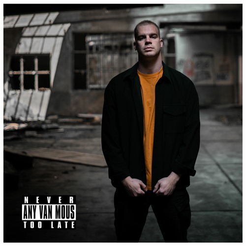 Any van Mous - Never Too Late (Official Intro Any van Mous Rework)