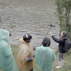 Cápsula Hierbas Medicinales