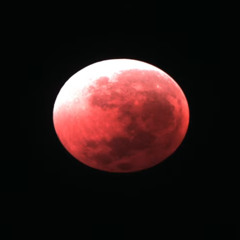 Lunar Eclipse Over The Negev