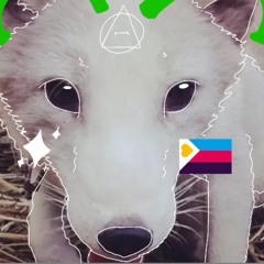 Dance Of The Arctic Fox