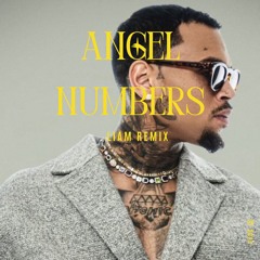 Chris Brown - Angels Numbers (LIAM REMIX)