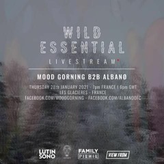 WILD ESSENTIAL LIVESTREAM - Mood Gorning B2B Albanø