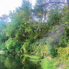 What’s a shoe gaze? (intro)