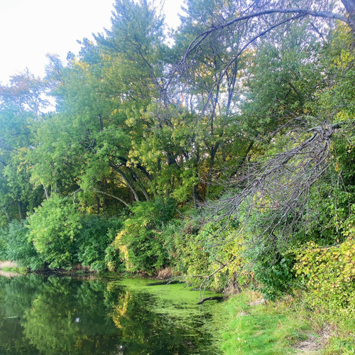 What’s a shoe gaze? (intro)