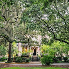 Review Special Price Savannah First Squares Culinary & Cultural Walking Food Tour