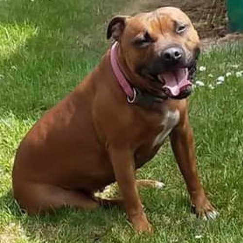 Crack a bottle EMINEM