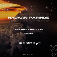 Nadaan Parindey Takesoul X JJ  x Rishi  Mashup