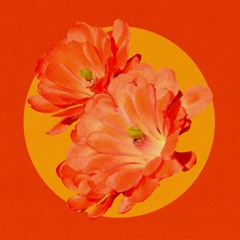 Desert Flower (Remix) Feat. Mereba