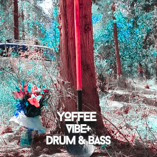 Vibe+ D&B Session 23.09.25