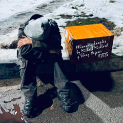 January 2k25 Samples  [Prod. me & Shiny Megami]