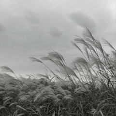 dronika - минор