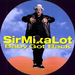 Sir Mix-A-Lot - Baby Got Back (HWAN REMIX)