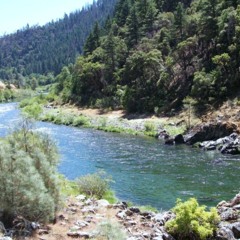 Let the River Soothe Your Soul