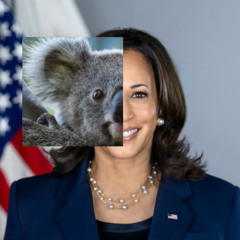 Koala harris is now the presiidentt