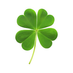 Lucky(prod. JPBeatz)