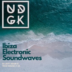 Ibiza Electronic Soundwaves on UDGK Radio (Tech House) Mix # 25