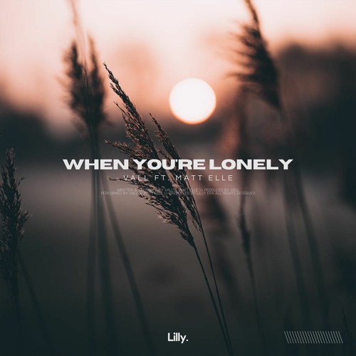 Vall - When You're Lonely (feat. Matt Elle)