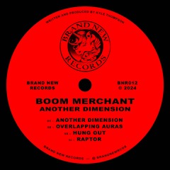 Boom Merchant - Another Dimension