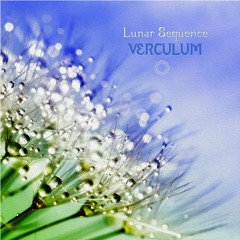 Lunar Sequence - Verculum [2024 EP, OM Mantra Records]