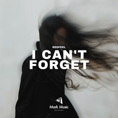 Redfeel - I Can't Forget