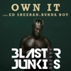 STORMZY - OWN IT(feat. ED SHEERAN & BURNA BOY)(BLASTERJUNKIES BOOTLEG)FILTER FULL DOWNLOAD CLICK BUY
