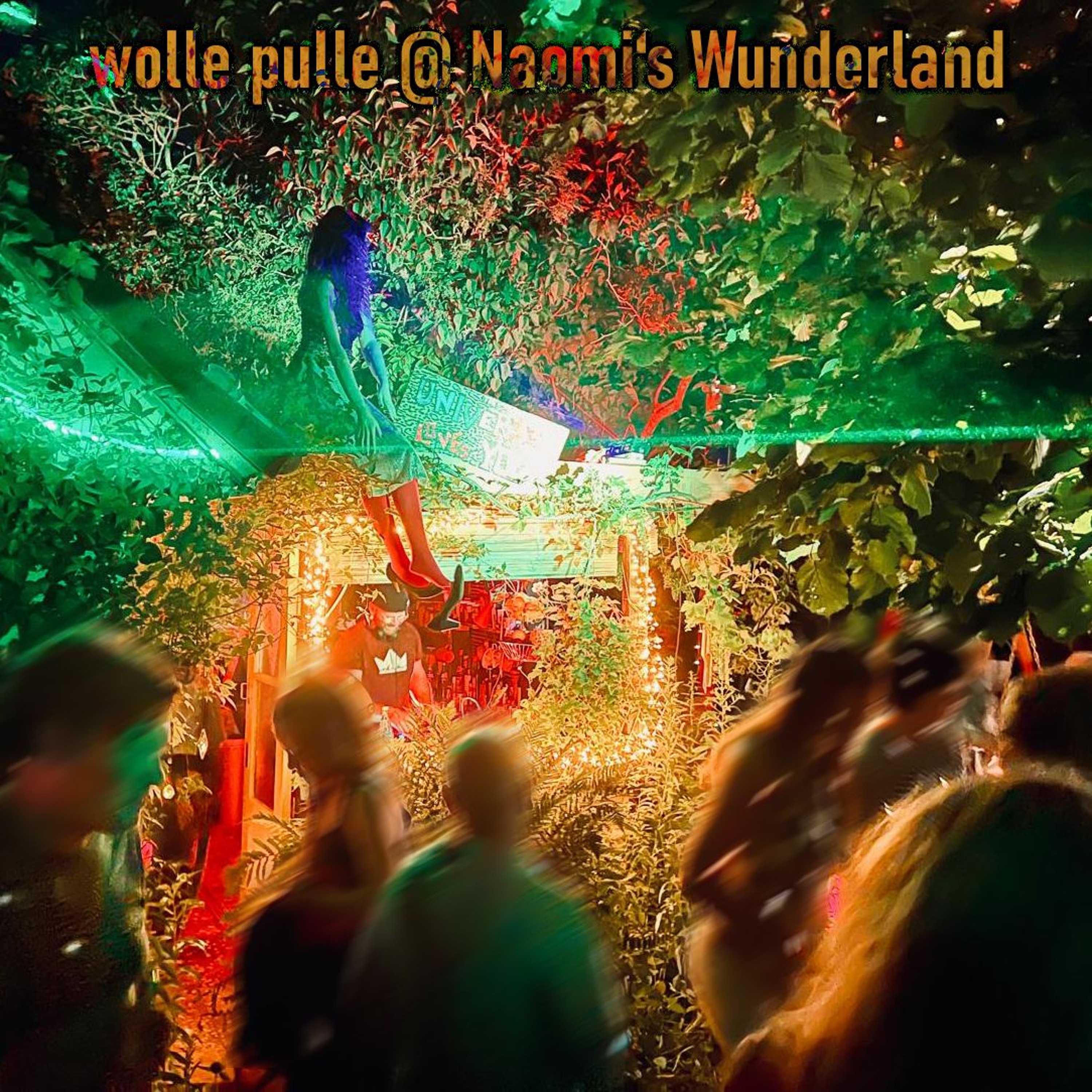 Wolles Musik