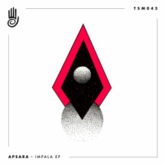3. Apsara - Bayle (original mix) [Truesounds Music]