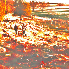 iKn0w (feat)greedi ,snave