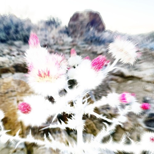 SALINE (feat. Samosthated) p. DJ Ess